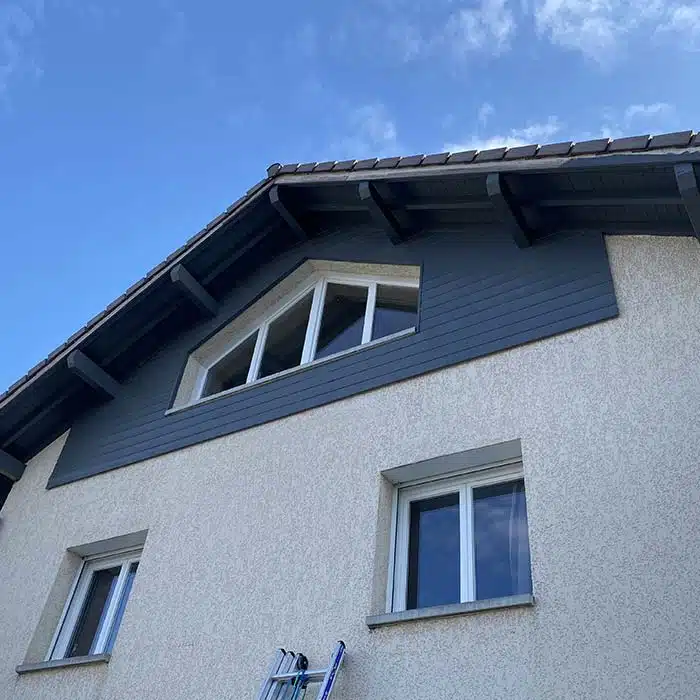 meilleure entreprise ravalement facades savoyarde.jpg