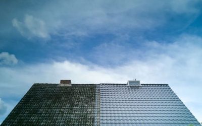 Nettoyage et démoussage de toiture à Annecy